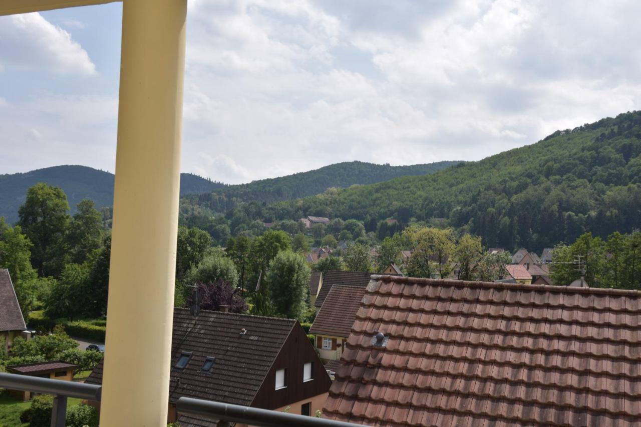 Le Brin D'Osier Kaysersberg-Vignoble Exterior foto