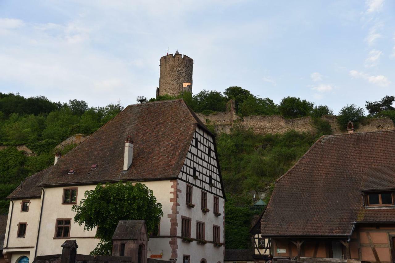 Le Brin D'Osier Kaysersberg-Vignoble Exterior foto