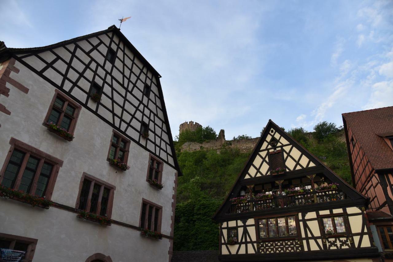 Le Brin D'Osier Kaysersberg-Vignoble Exterior foto
